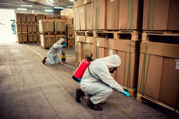 Best Bed Bug Extermination  in Wartburg, TN