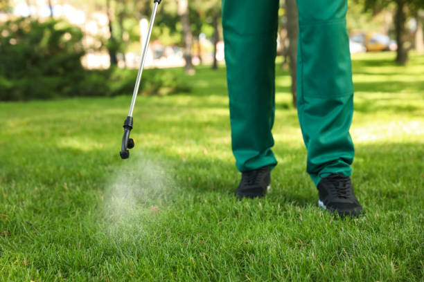 Best Pest Control Near Me in Wartburg, TN