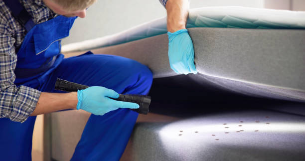 Best Wasp Removal Services  in Wartburg, TN
