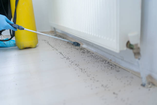 Best Flea Control Services  in Wartburg, TN