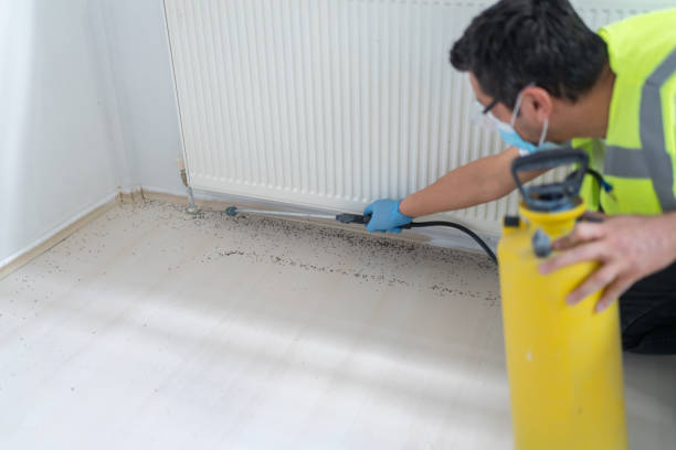 Best Ant Control Services  in Wartburg, TN