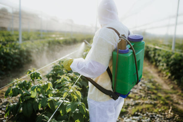 Best Emergency Pest Control  in Wartburg, TN
